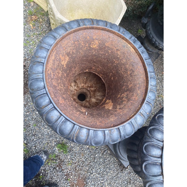 Metal Classic Large Black Cast Iron Garden Urns -A Pair For Sale - Image 7 of 9