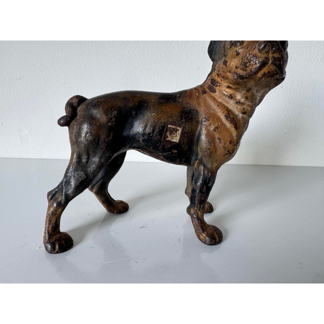 1930s Antique Late 19th Century Cast Iron Boston Terrier Doorstop For Sale - Image 5 of 12
