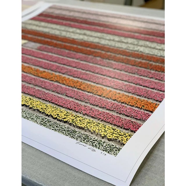 Not Yet Made - Made To Order "AV_Tulip_Fields_028" Contemporary Aerial View Limited Edition Photograph by Bernhard Lang For Sale - Image 5 of 11