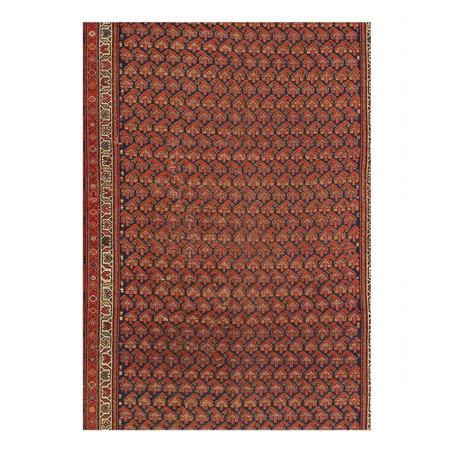 Hand knotted in a village around Hamadan, western par fars. Hamadan rugs can originate from any one of hundreds of...