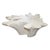 Andrianna Shamaris St. Barts Bleached Teak Wood Coffee Table For Sale - Image 15 of 18