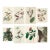 Vintage John James Audubon Reproduction Double Sided Prints - Collection of 4 For Sale
