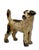 This Really is a Great Looking Authentic Vintage Cast Iron Figurative Fox Terrier Dog Doorstop. Circa 1930s. It Still...