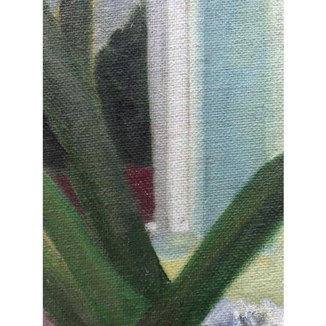 A still life with succulents with a view.