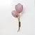 Tulips Murano Glass and Brass Sconces, 2000, Set of 2 For Sale - Image 4 of 10