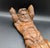 Late 19th Century 19th Century Hand-Carved Walnut Architectural/Decorative Atlas Corbel For Sale - Image 5 of 12