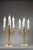 Louis XVI Candelabra in Gilt Bronze, 1900s, Set of 2 For Sale - Image 3 of 18