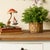 Elevate your home decor with the vibrant, natural touch of the Spring Mini Leaf Half Orb Set. This collection showcases...