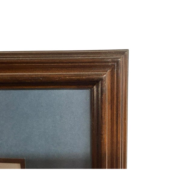 Vintage Framed Waterfowl Print of a Red-Breasted Merganser Duck For Sale - Image 4 of 7