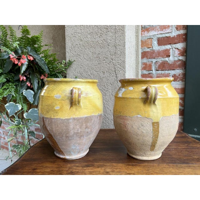 Mustard Pair Antique Provincial French Yellow Glazed Pottery Confit Pot Urn Vessel Vase For Sale - Image 8 of 13
