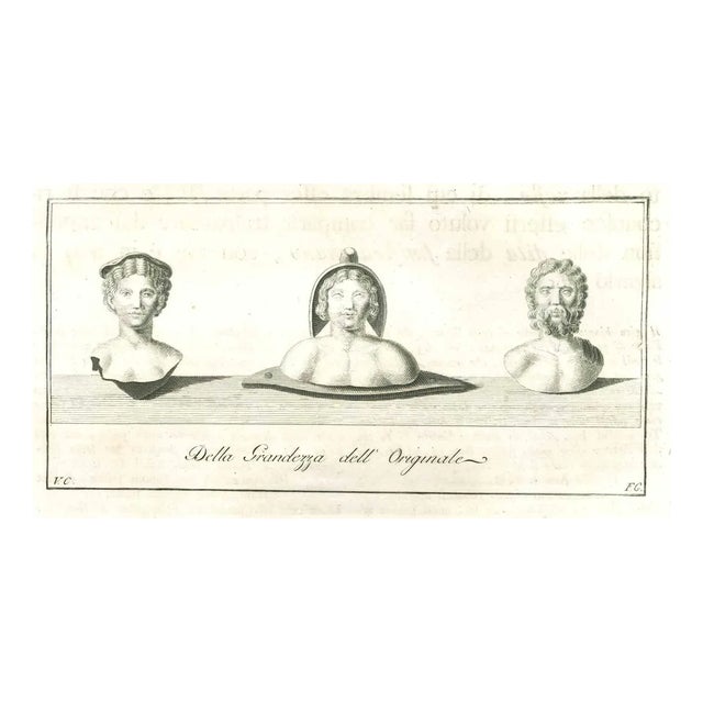 Vincenzo Campana, Ancient Roman Statue, Original Etching, 18th-Century For Sale