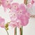 Phalaenopsis Orchid Drop-In 30" For Sale In Chicago - Image 6 of 6