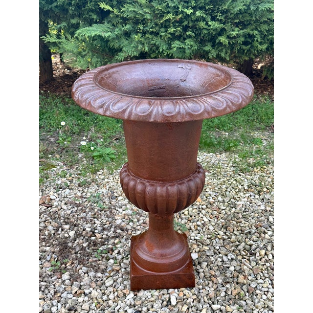 Medici Cast Iron Basins, 1970s, Set of 2 For Sale - Image 9 of 13