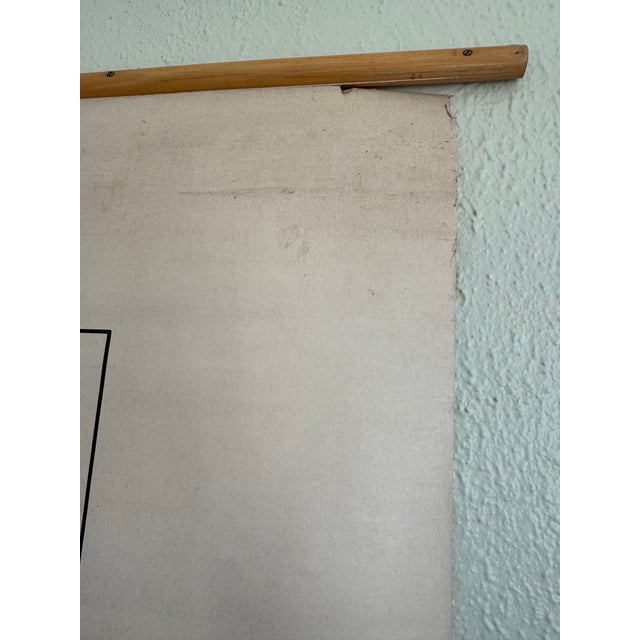 Vintage 1969 Typing Instruction Pull-Down Chart – Secretary School Poster --Poster C For Sale - Image 4 of 8