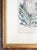 Late 18th Century 18th Century Hand Colored Botanical Engraving Curtis's Magazine Print Protea For Sale - Image 5 of 10