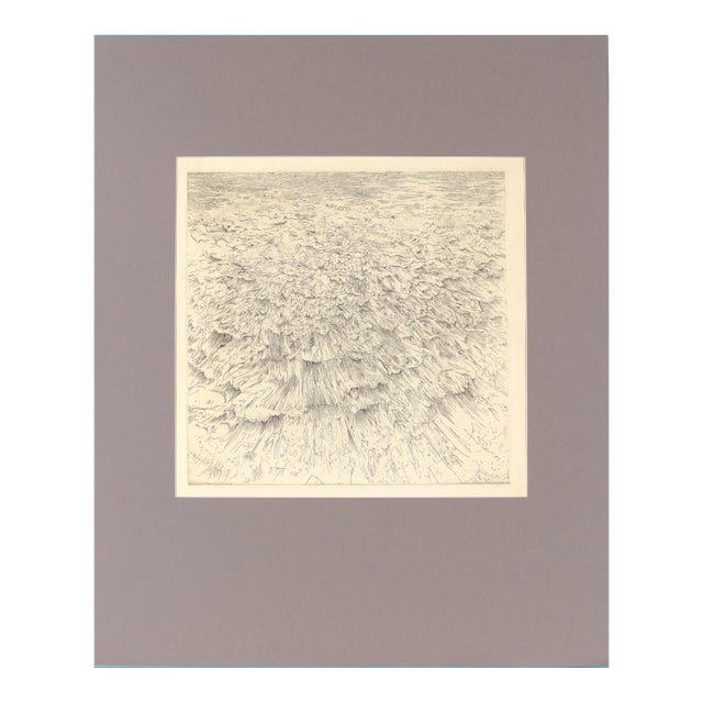 Headland IV - Etching by Gordon Cook on Japanese Paper by Gordon Cook For Sale