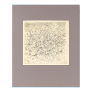 Headland IV - Etching by Gordon Cook on Japanese Paper by Gordon Cook