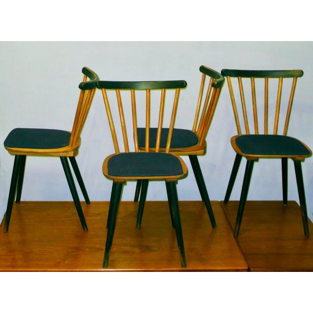 Mid-Century Dining Chairs with Splayed Legs and Navy Blue Seats, Set of 4 For Sale - Image 8 of 12