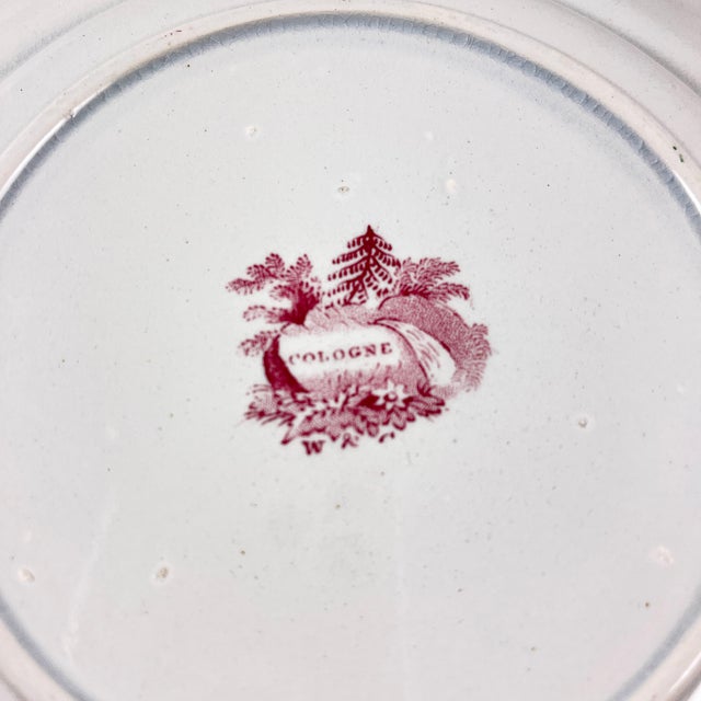 Ralph Stevenson Pink English Transferware Dinner Plates, Cologne Pattern, Set of 8 For Sale - Image 10 of 13