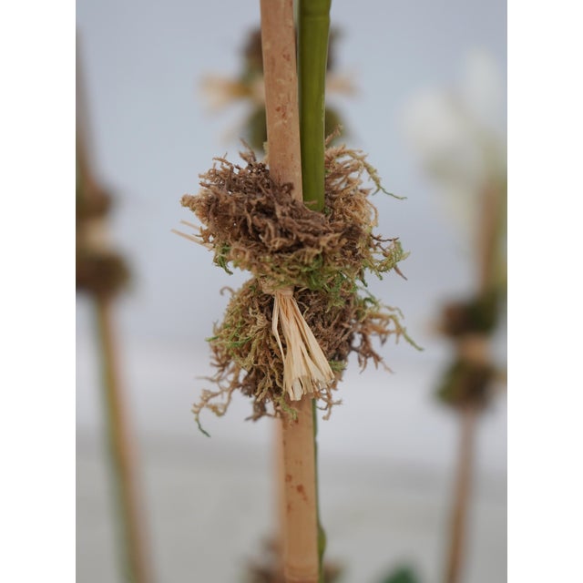 Large Silk Flower Mother Orchid in Woven Basket For Sale - Image 4 of 11