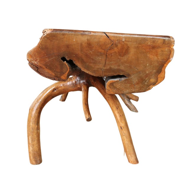 Large Sculptural Rootwood Coffee Table, 1970s For Sale - Image 11 of 16
