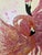 Paint Palm Beach Flamingos - Designed by Cheryl P. Kohloff For Sale - Image 7 of 7