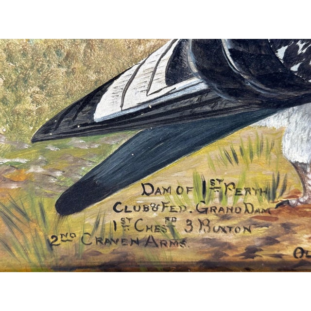 Circa 1930 British Folk Art Champion Racing Pigeons Oil Painting For Sale - Image 14 of 18