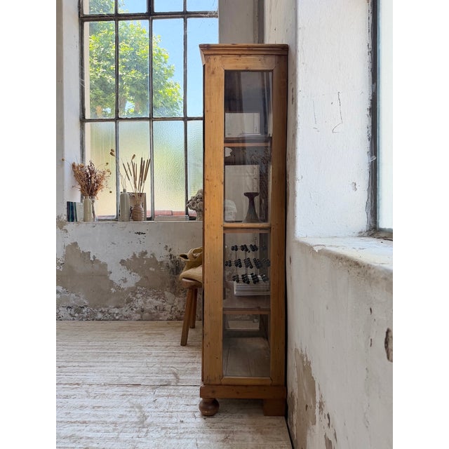 19th Century English Pine Display Case, 1890s For Sale - Image 3 of 18