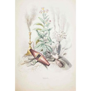 J. J. Grandville, Tobacco, The Animated Flowers Vol. I, 1847, Lithograph For Sale