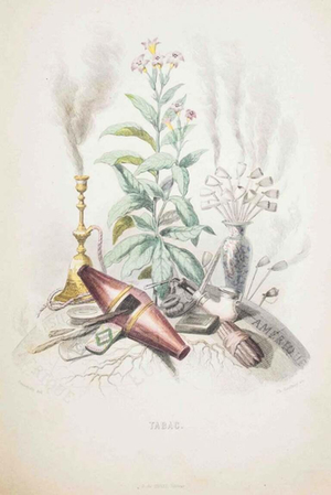 J. J. Grandville, Tobacco, The Animated Flowers Vol. I, 1847, Lithograph