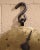 Gold Mid-19th Century English Brass and Iron Hanging Trade Spring Balance Scale For Sale - Image 8 of 13