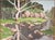 California Landscape Painting by Victor Matson (1895-1972) For Sale - Image 4 of 12