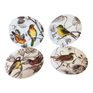 2012 Lot of 4 Williams Sonoma Botanical Birds Round Salad Luncheon Plates For Sale