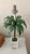 A rare and stunning pair of Maison Baguès palm tree tole lamps in Chippendale planters. Each to the top of the socket, 21"...