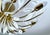 Vintage Floral Pendant Light from Vereinigte Werstaetten, 1950s For Sale - Image 14 of 18