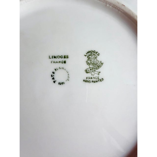 Antique Hand Painted Limoges Botanical Plate For Sale In New Orleans - Image 6 of 6