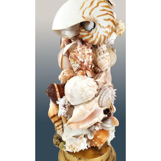 Lamp Seashells Shells - Vintage Restored For Sale - Image 13 of 17