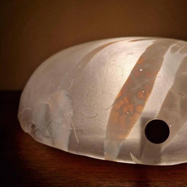 Vintage German Flush Mount from Hillebrand Lighting, 1960s For Sale - Image 11 of 13