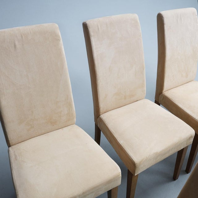 1990s Haleywood Chairs, 2000s, Set of 7 For Sale - Image 5 of 7