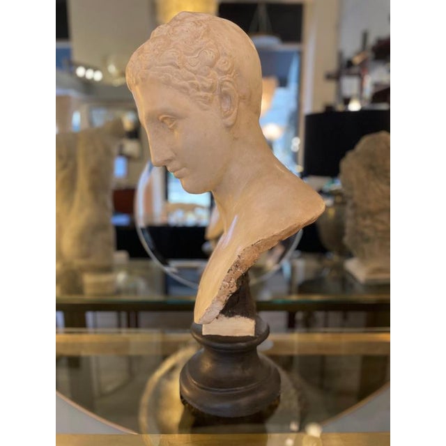 Unknwon, Plaster Bust of the God Hermes, 1900, Gesso For Sale - Image 12 of 18