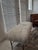 Ivory Pasargad Home Mongolian Lamb Fur Bench in Cream With Brushed Metal X‑Base For Sale - Image 8 of 8