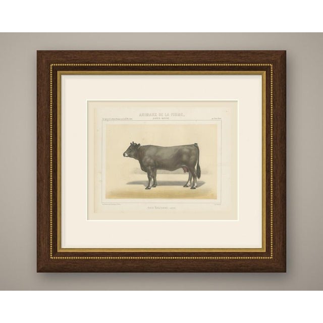 This is an original antique chromolithograph, printed in color from several lithographic stones, from victor borie's...
