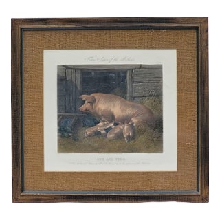 Antique 1855 Hand-Colored Engraving "Sow and Pigs" After j.f. Herring Sr. — Framed Rustic Farm Scene For Sale
