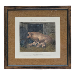 Antique 1855 Hand-Colored Engraving "Sow and Pigs" After j.f. Herring Sr. — Framed Rustic Farm Scene