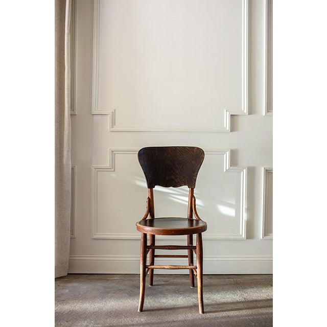 Brown Antique Bentwood Cafe Chairs in the Style of Micheal Thonet , Set of 6 For Sale - Image 8 of 16