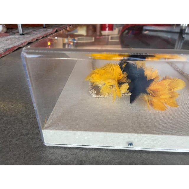 Mid-Century Modern Vintage Mid-Century Urubu-Ka’apor Feather Armbands in Museum Acrylic Case For Sale - Image 3 of 12