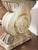 Stone English Curved Garden Stone Bench With Scroll and Lion's Head Base Supports For Sale - Image 7 of 11
