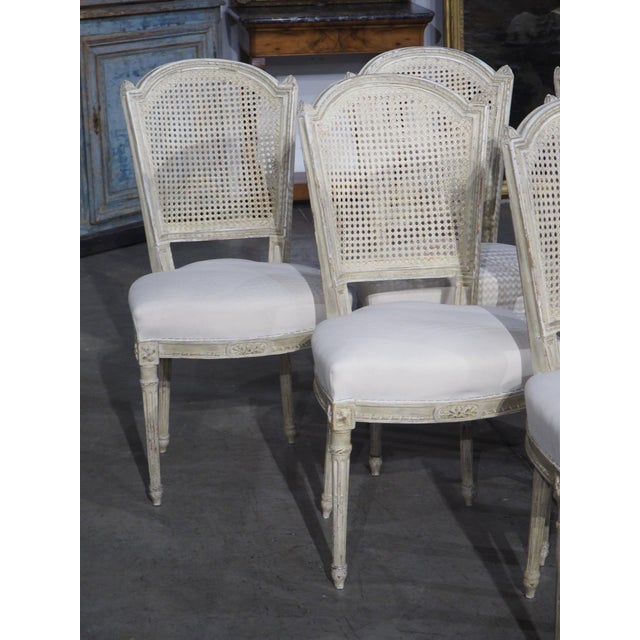 Set of 6 Painted and Caned French Louis XVI Style Dining Chairs, Early 1900s For Sale - Image 18 of 18