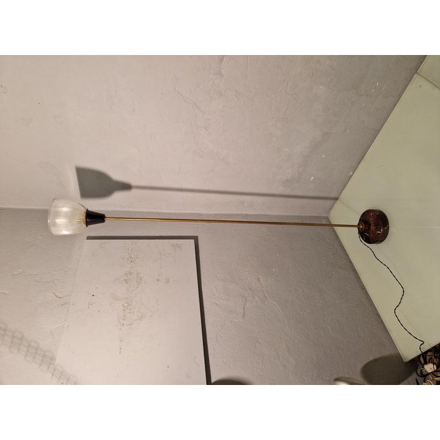 1950s LTE6 Floor Lamp by Ignazio Gardella for Azucena, 1950s For Sale - Image 5 of 18