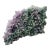 Natural Bi-Color Grape Agate Specimen by Stillmantle For Sale